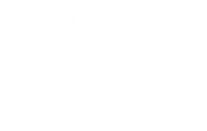 AMDG Collective
