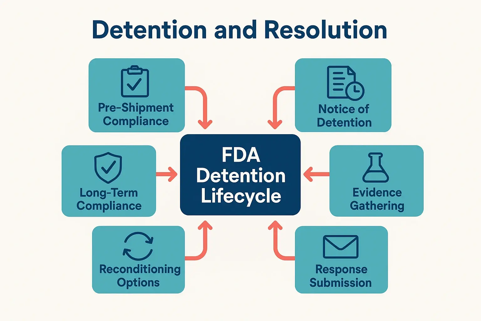 A detailed infographic flowchart visualizing the entire FDA detention lifecycle. It starts with 'Pre-Shipment Compliance,' moves to 'Shipment Arrival & FDA Screening,' then splits into 'Release' or 'Detention Notice.' The 'Detention' path branches into 'Importer Response,' 'FDA Review,' and outcomes: 'Release,' 'Refusal,' or 'Reconditioning.' The reconditioning loop shows the process of proposing a plan and gaining approval before release.