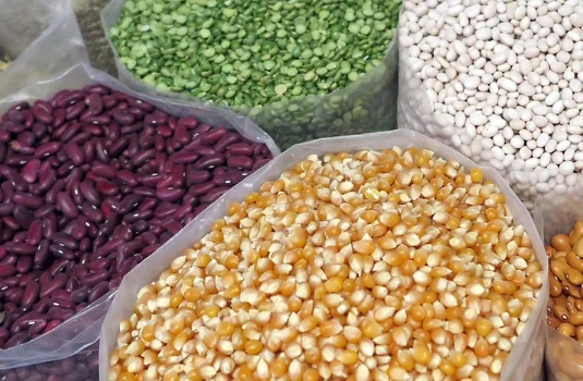 Assorted dried beans, lentils, and grains packaged for agricultural export
