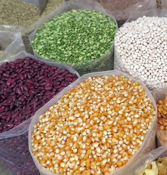 Food-grade bulk grains and pulses exports from India