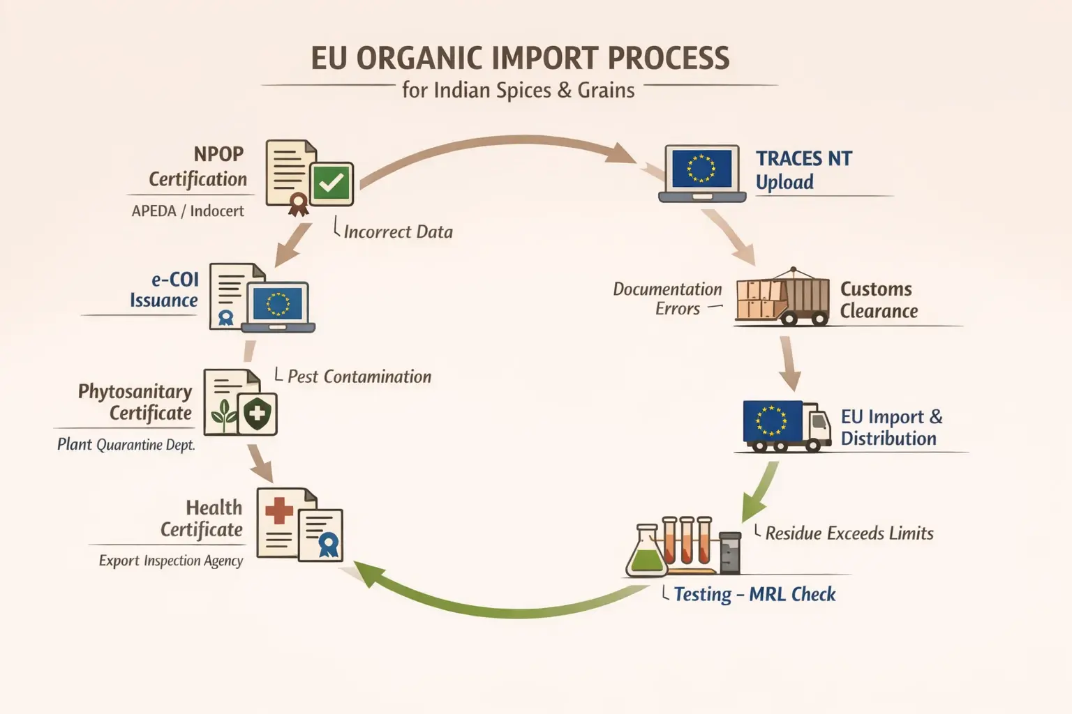 Step-by-step documentation masterclass guiding exporters through critical documents for EU organic compliance.