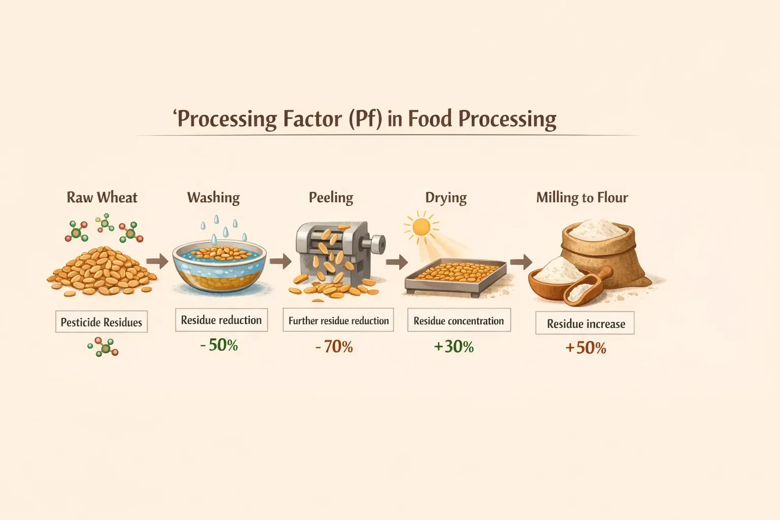 Stepwise infographic showing how different food processing methods impact pesticide residue levels through the processing factor (Pf).