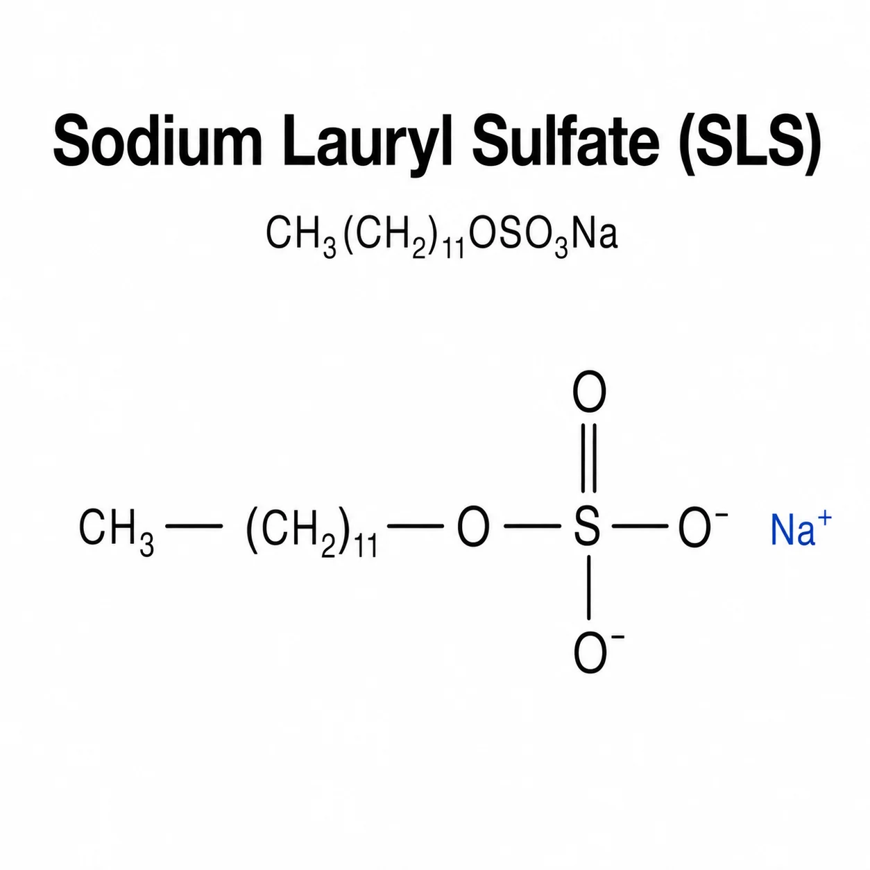 Sodium Lauryl Sulfate (SLS); Sodium Dodecyl Sulfate (SDS); CH₃(CH₂)₁₁OSO₃Na chemical structure; CAS 151-21-3